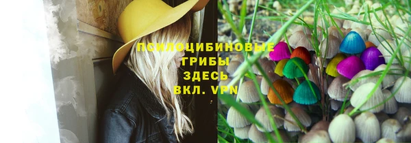 а пвп мука Медвежьегорск