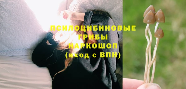твердый Мегион