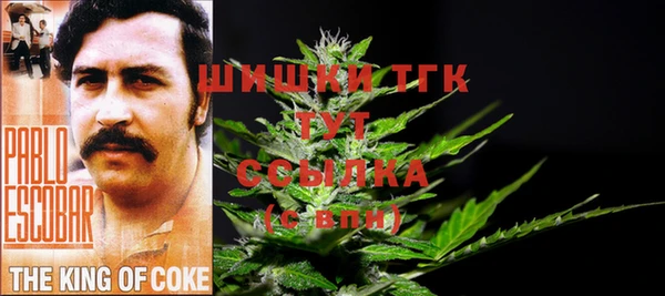 твердый Мегион