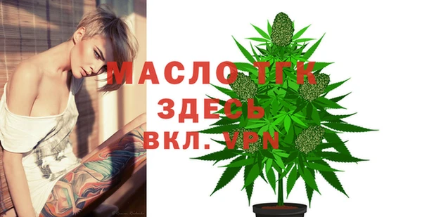 твердый Мегион