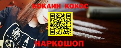 крисы Моздок