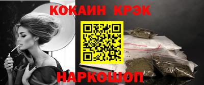 крисы Моздок