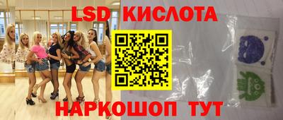 крисы Моздок