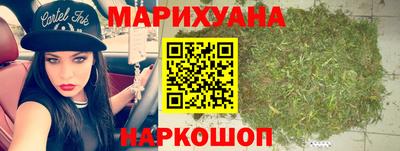 крисы Моздок
