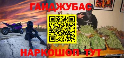 крисы Моздок