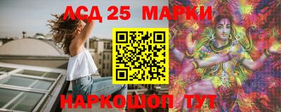 крисы Моздок