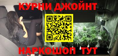 крисы Моздок