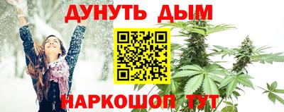 крисы Моздок