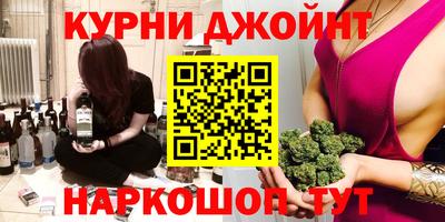 крисы Моздок