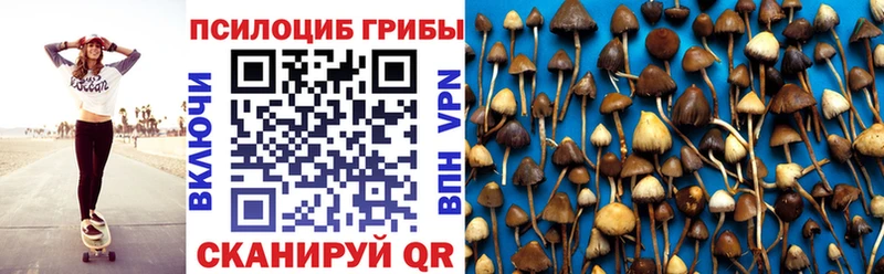 Галлюциногенные грибы MAGIC MUSHROOMS  как найти   Рязань 