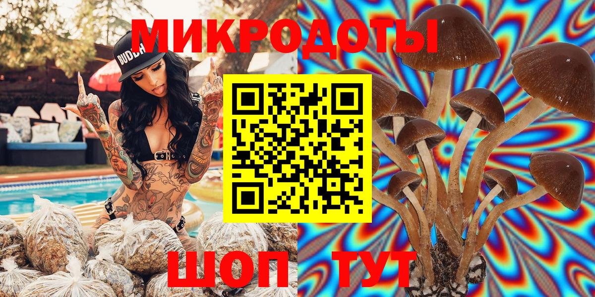 Псилоцибиновые грибы MAGIC MUSHROOMS  цены наркотик  Рязань  Вход с VPN 